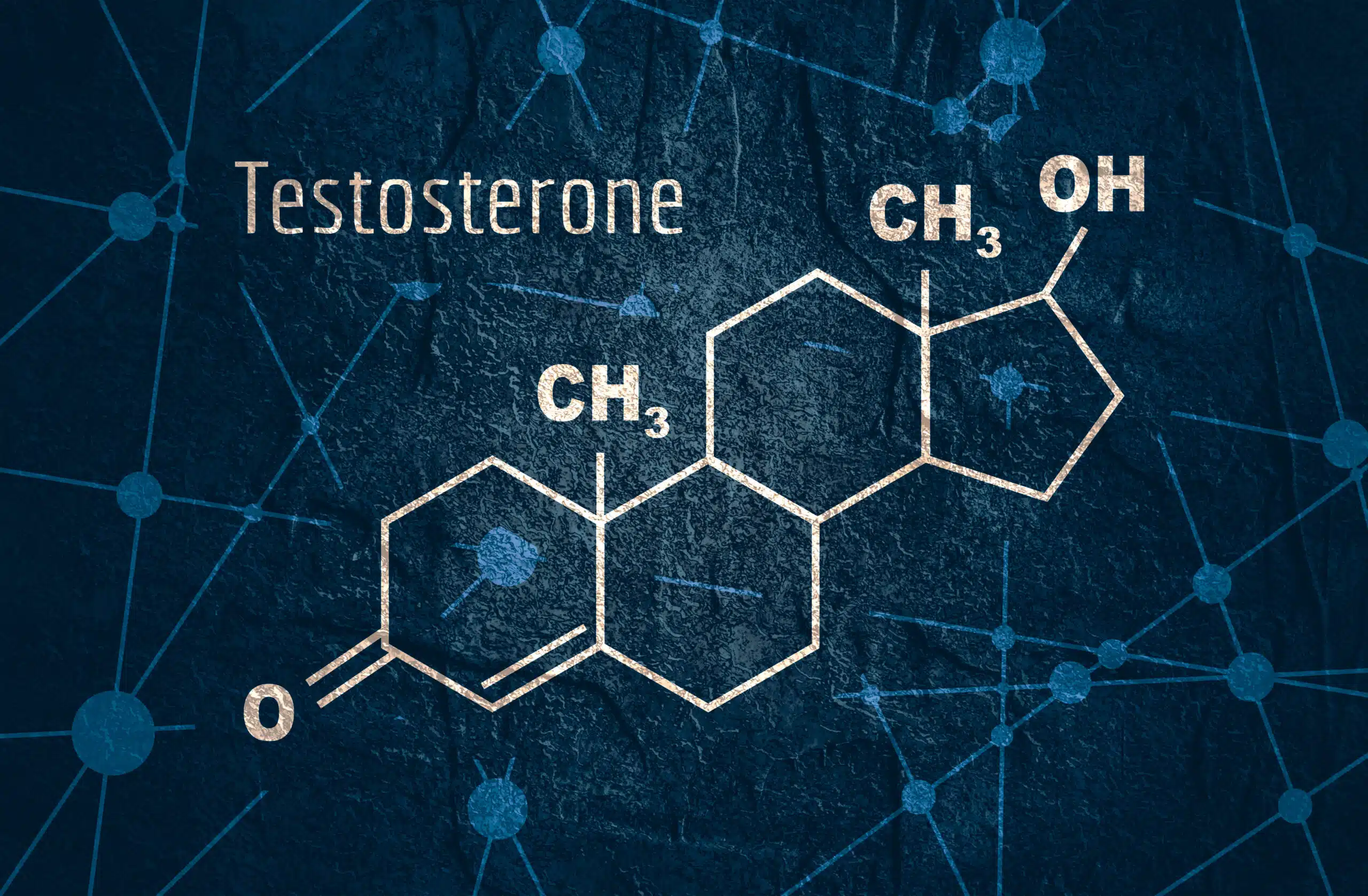 Why care about testosterone?